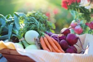 verduras y tubérculos